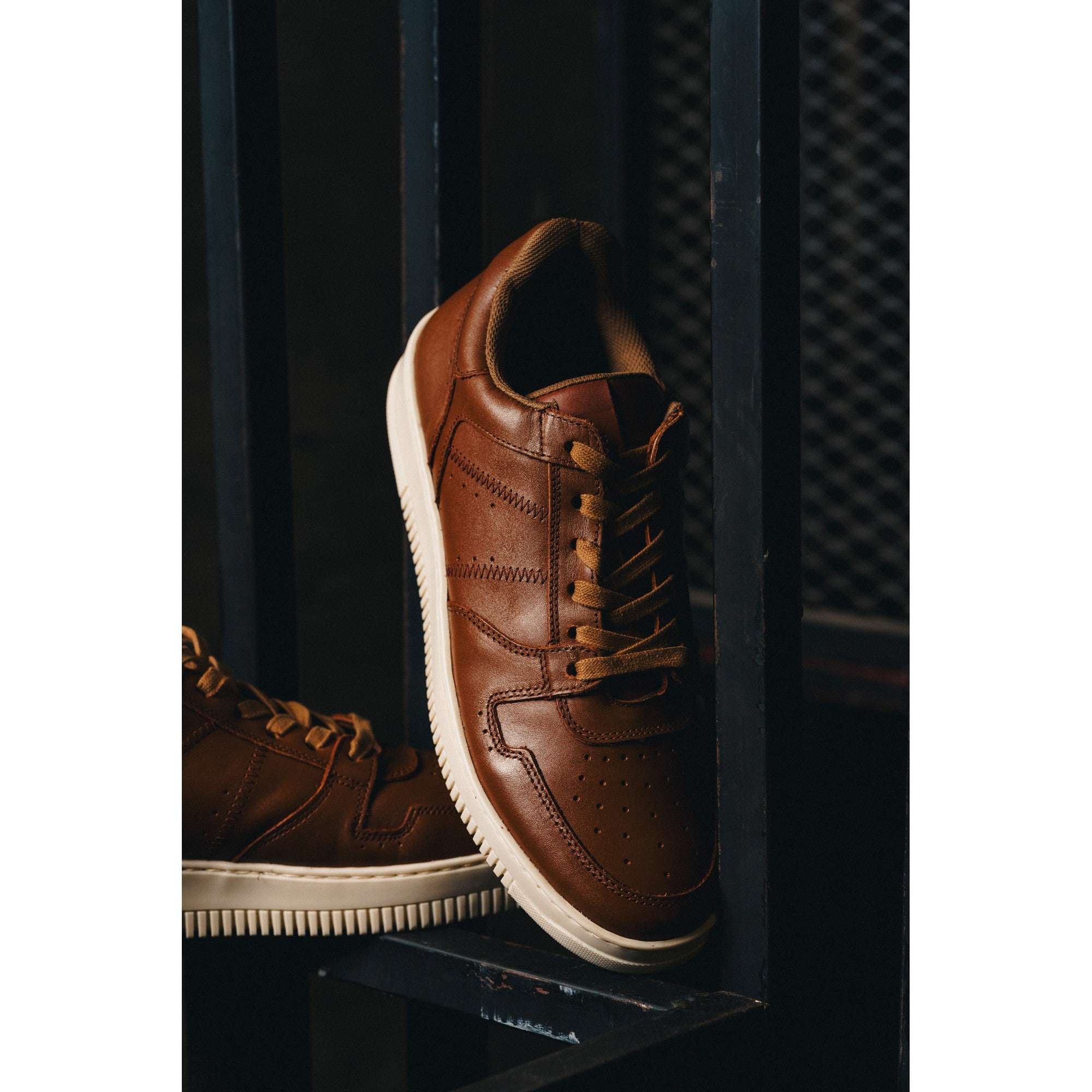 BLACK PEPPERS Lowtop Leather Sneaker CRUISE Camel
