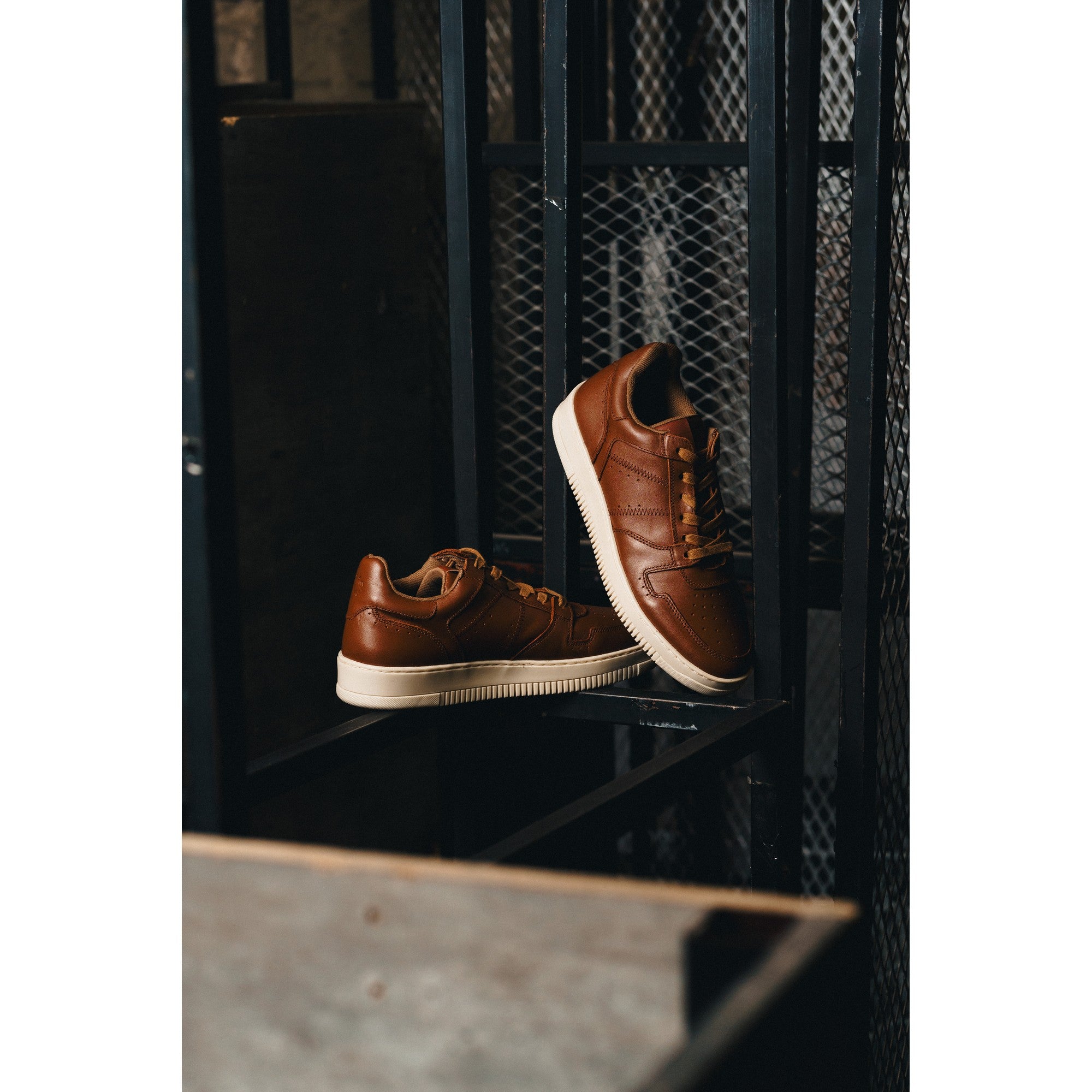 BLACK PEPPERS Lowtop Leather Sneaker CRUISE Camel