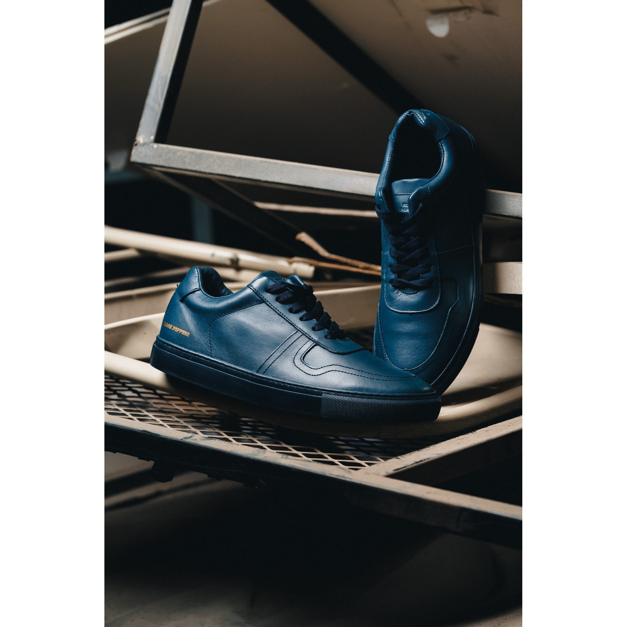 BLACK PEPPERS Lowtop Leather Sneaker TURIN Full Navy Blue