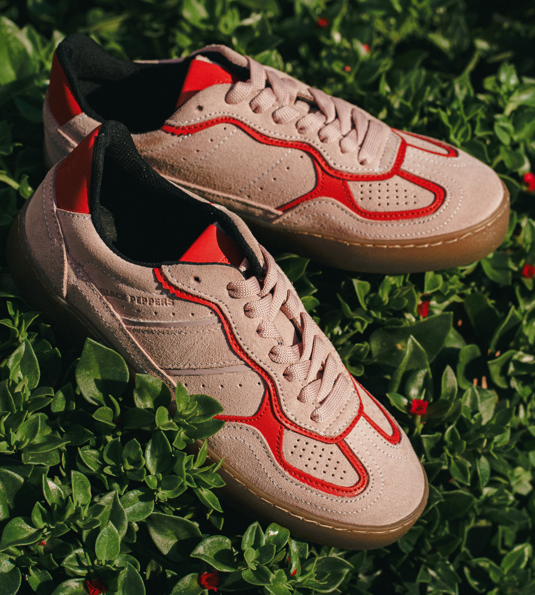 BLACK PEPPERS Lowtop Leather Sneaker PARMA Rose