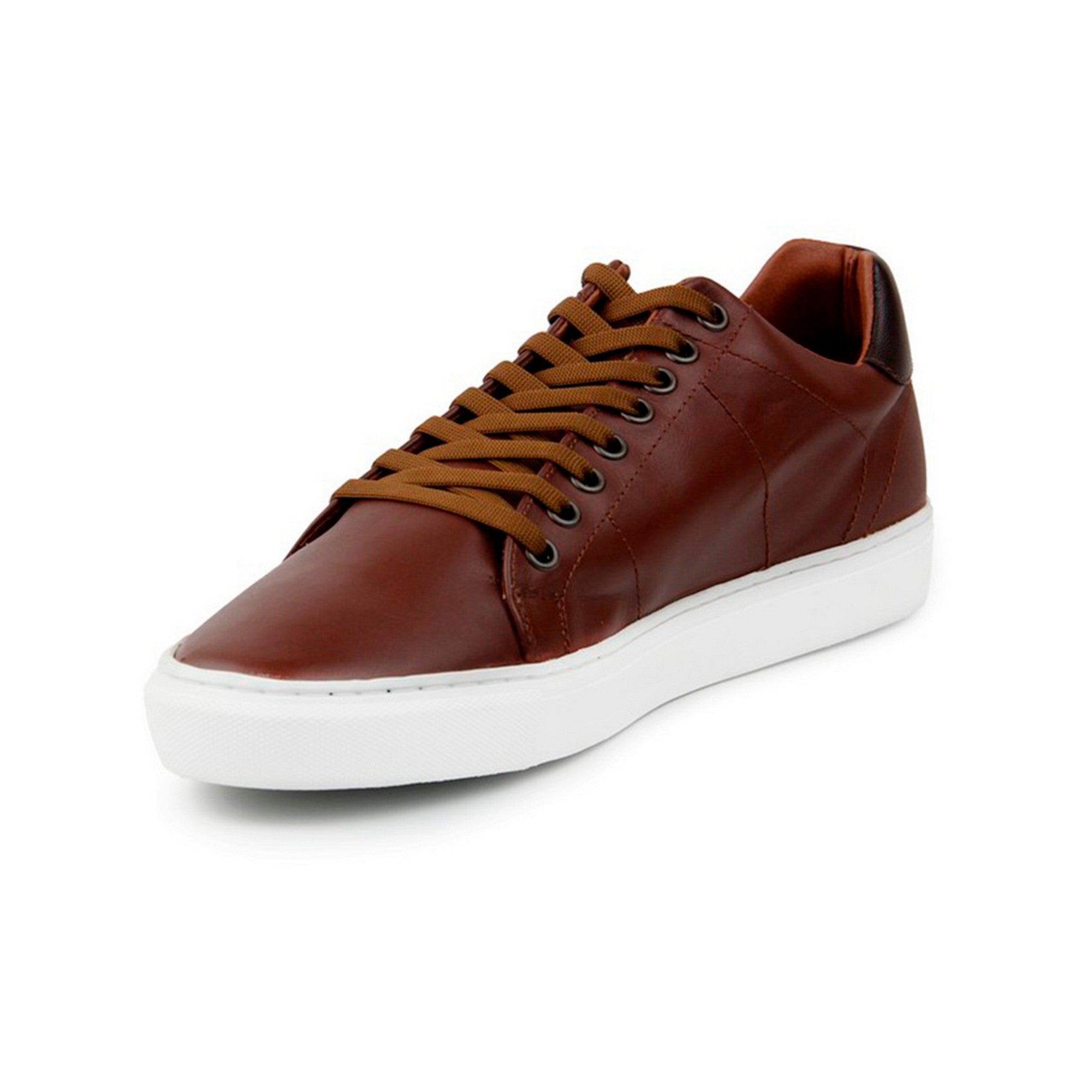 Tenis de Piel Black Peppers Lowtop Leather Sneaker CM Camel